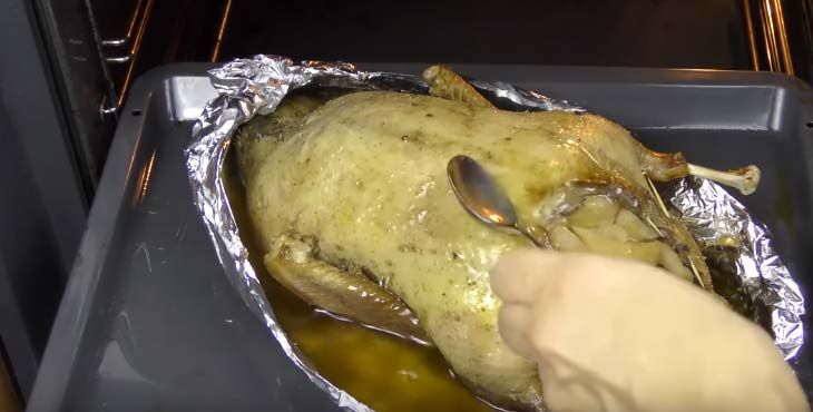 Утка в медово - горчичном соусе: запеченная, в духовке, как приготовить, вкусно - рецепт с фото